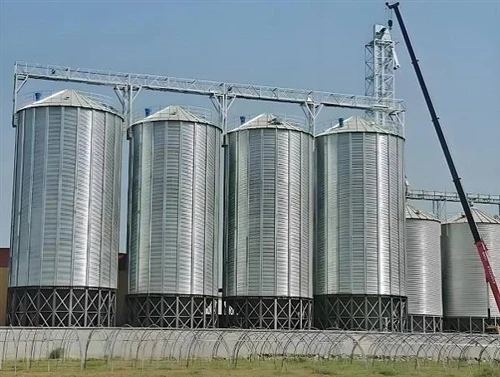 How to Choose the Right Thickness and Zinc Coating for Grain Silo Corrugated Sheets